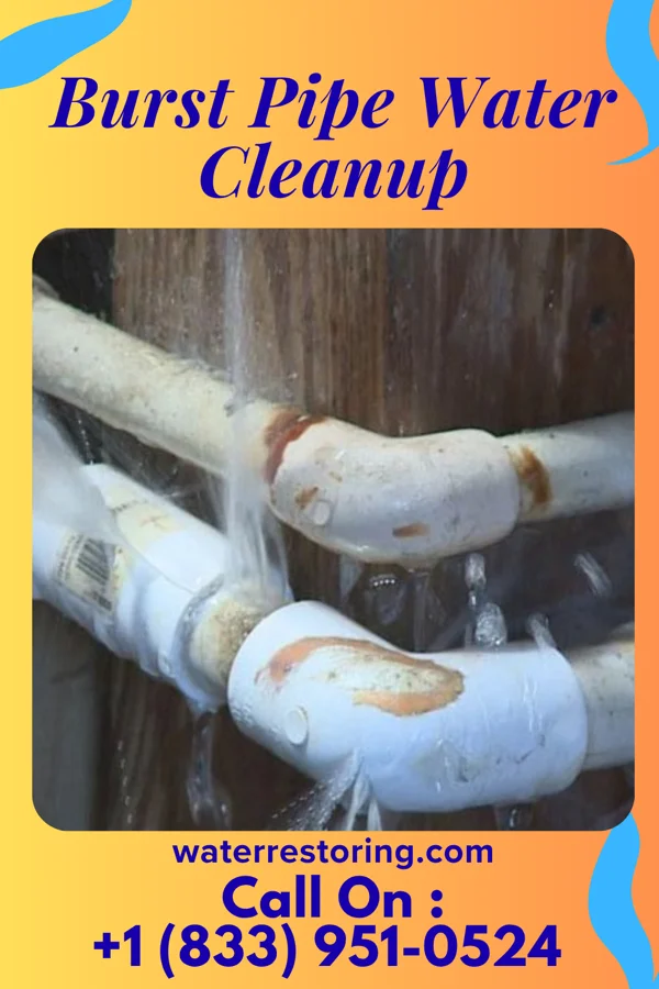 Burst Pipe Water Cleanup in Bird Island, MN