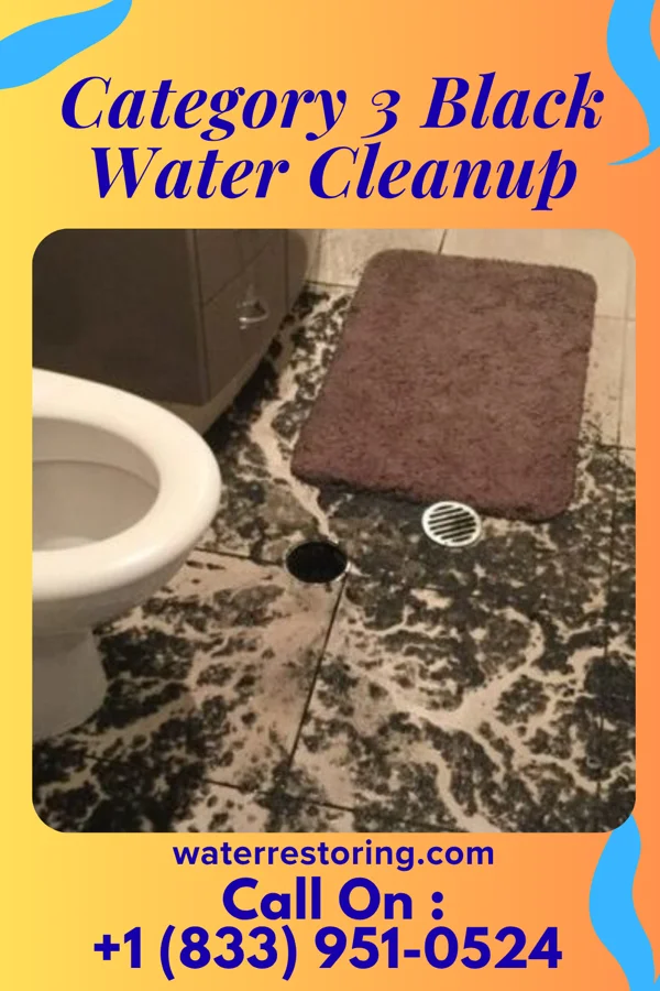 Category 3 Black Water Cleanup in Bird Island, MN