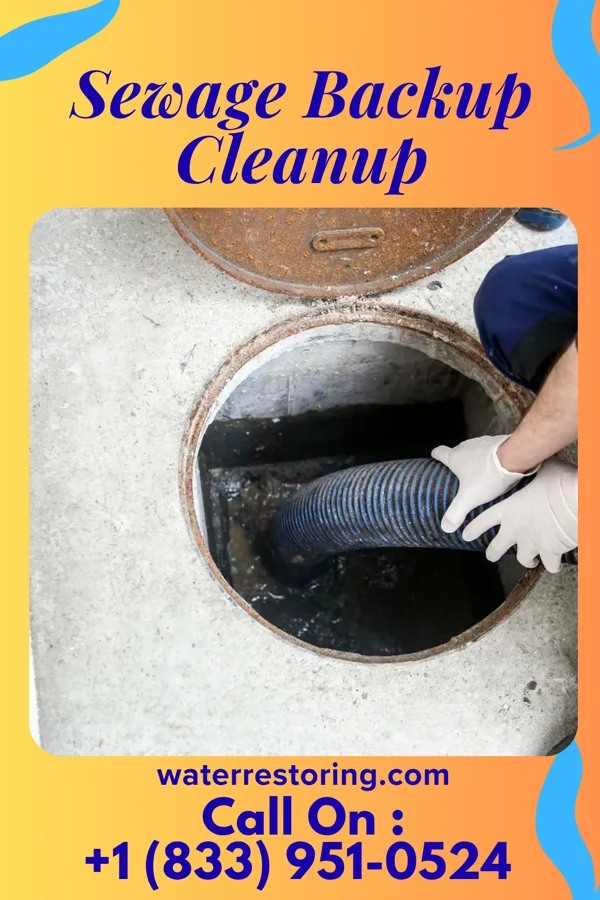 Sewage Backup Cleanup in Bird Island, MN